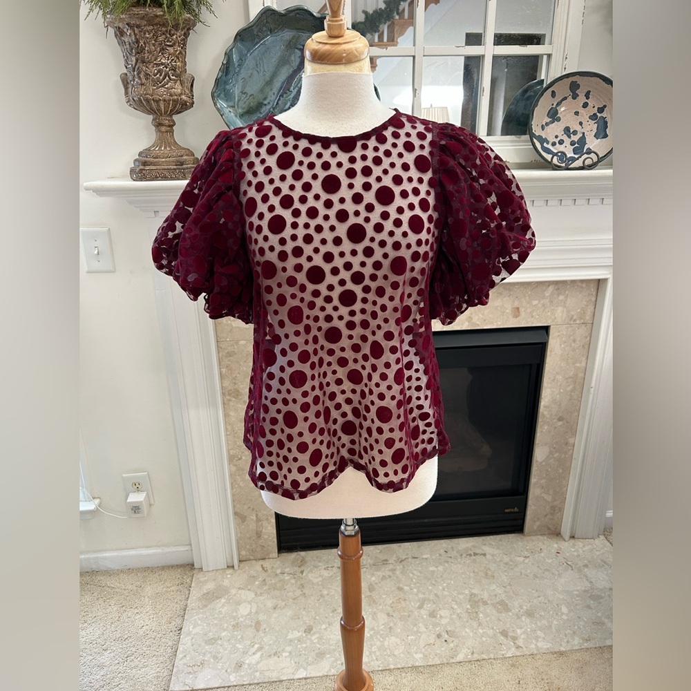 Haute Monde Burgundy Puff Sleeve Sheer Top - Picture 2 of 8